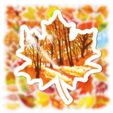 Autumn Maple Leaf Graffiti Stickers
