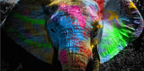 Colours: Elephant Poster - Enhance Your Décor