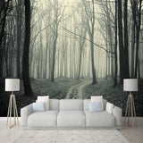 Deep Forest Wallpaper: Tranquil Nature Scenes for Your Walls