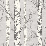 Forest Wallpaper: Stunning Nature Scene Mural