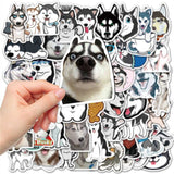 Cute Pet Husky Graffiti Waterproof Sticker