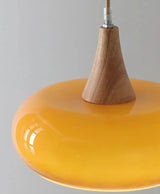 Illuminate with Vibrancy: Orange Retro Pendant Light