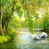 Swans in Lake Wallpaper - Transform Your Space