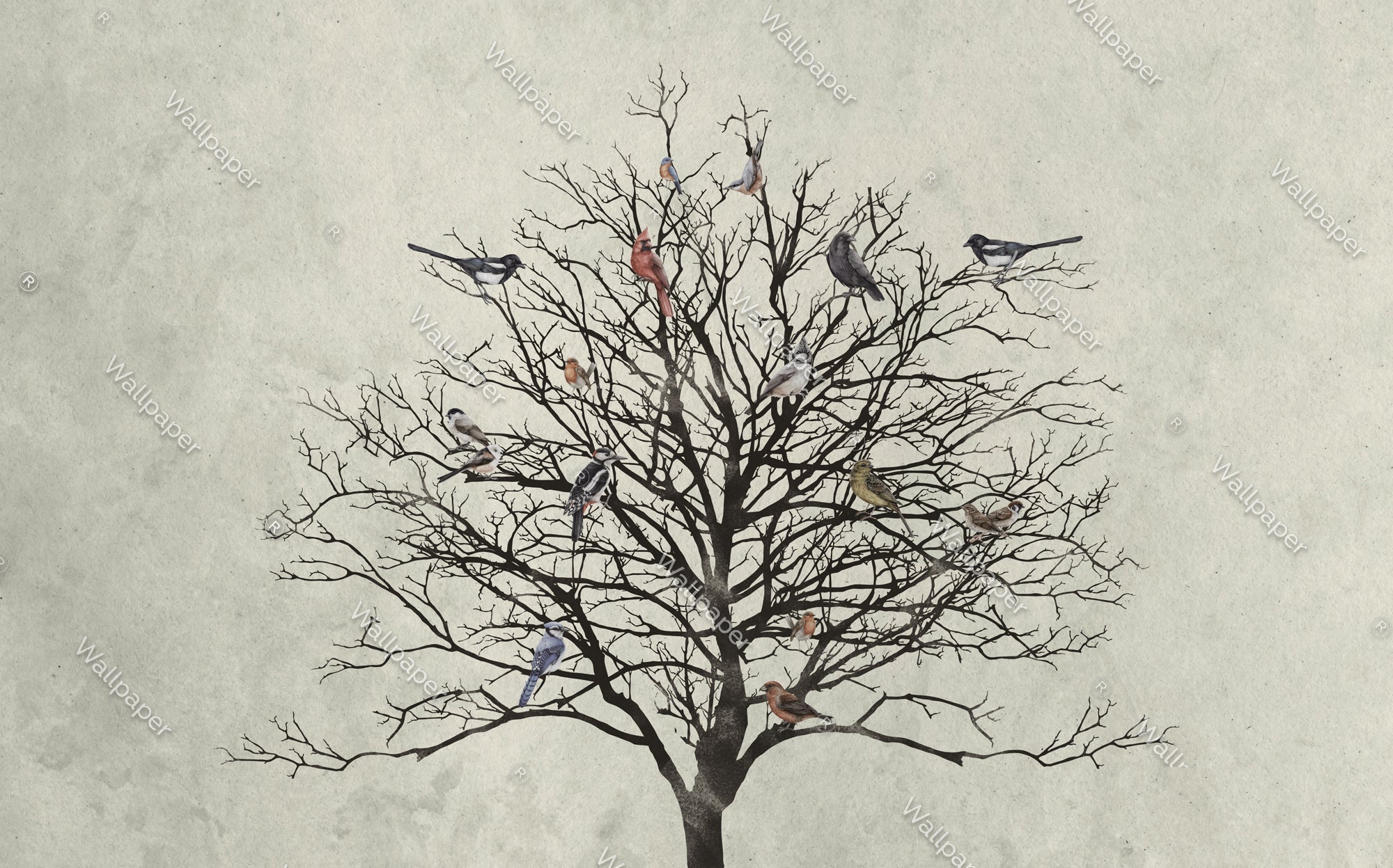 Winter Birds Tree Walllpaper Mural - Enhance Your Space